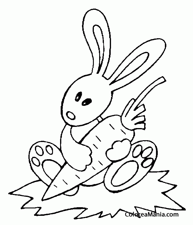 Colorear Conejo zanahoria