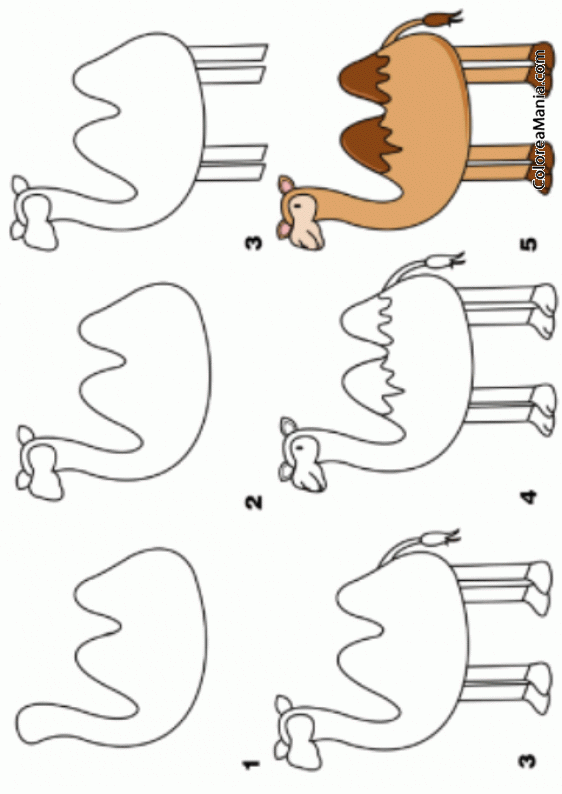 Colorear Como dibujar un Camello