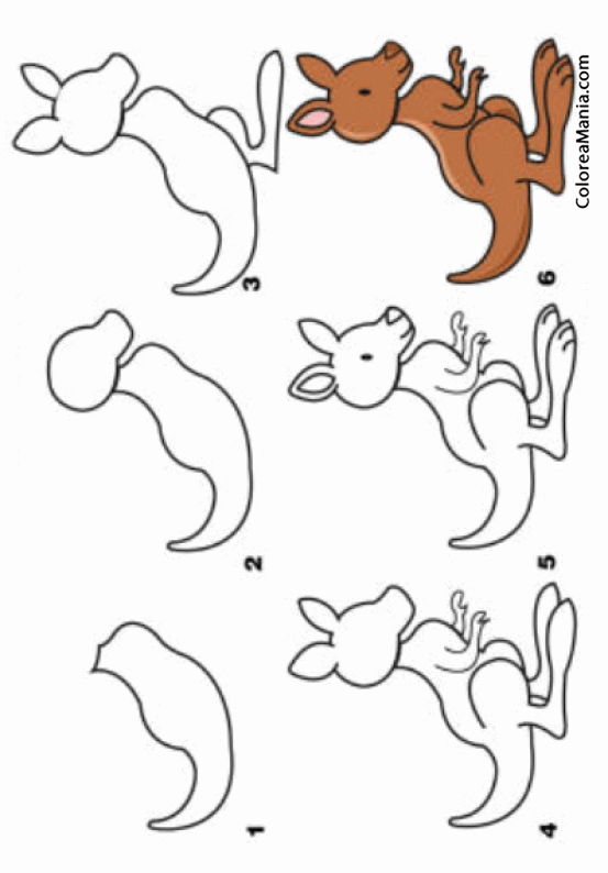 Colorear Como dibujar un Canguro