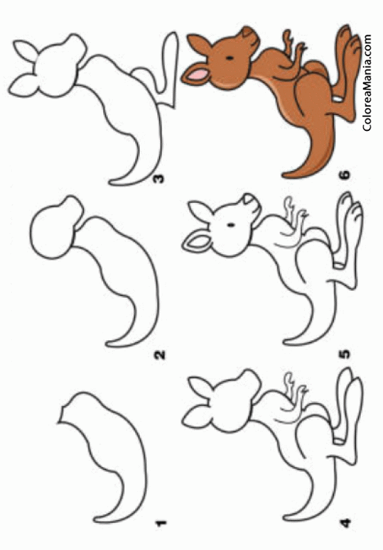 Colorear Como Dibujar Un Canguro Como Dibujar Animales Dibujo Para Colorear Gratis