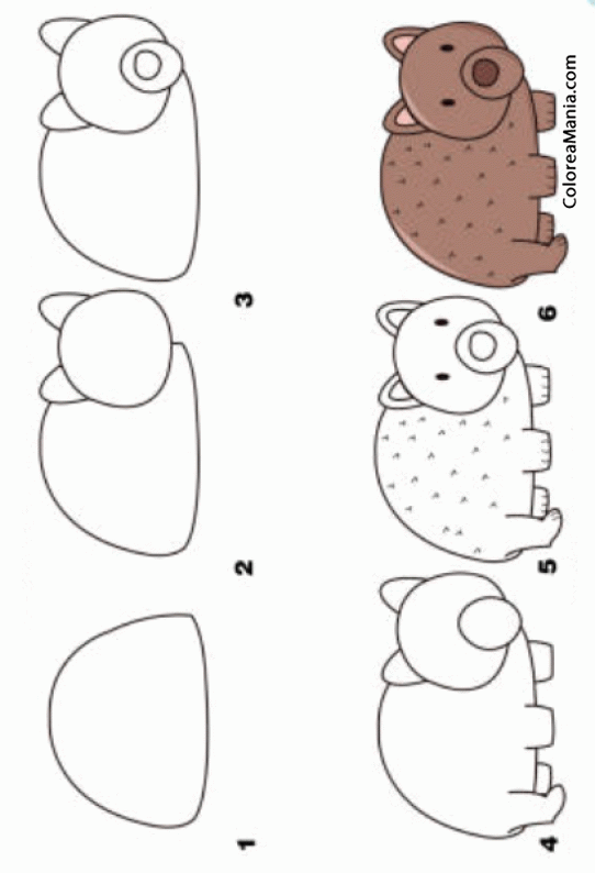 Colorear Como dibujar un wombat