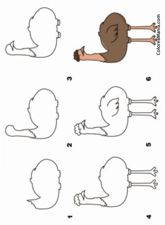Colorear Como dibujar un Emu