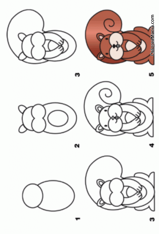Colorear Como dibujar una ardilla