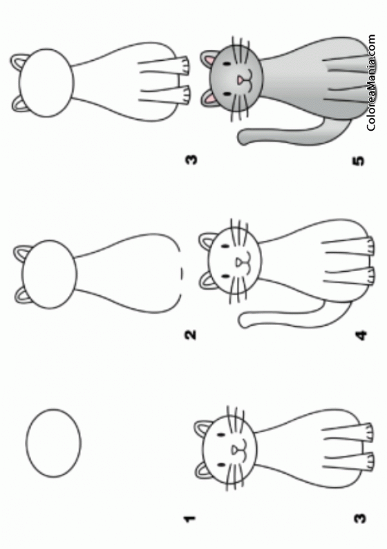 Colorear Como dibujar un gato