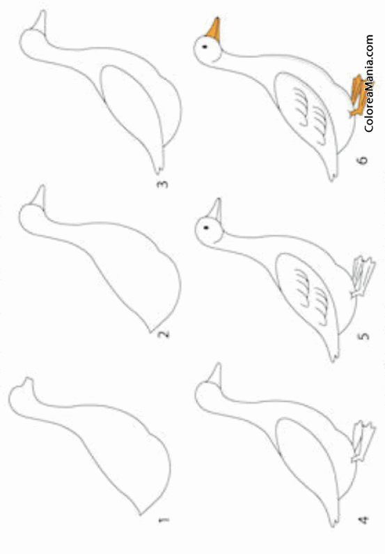 Colorear Como dibujar una oca (Cómo dibujar animales), dibujo para