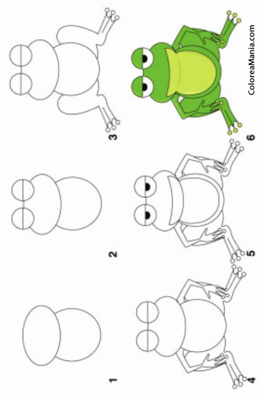 Colorear Dibujar una rana