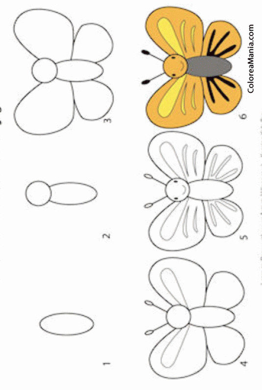 Colorear Dibujar una mariposa
