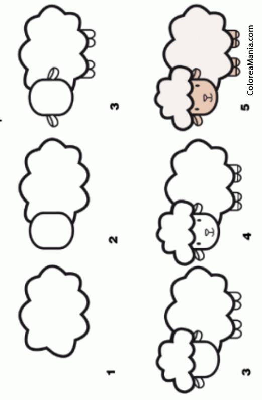 Colorear Como dibujar una oveja 03