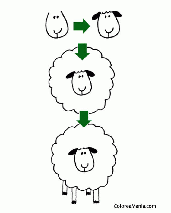Colorear Como dibujar una oveja 01