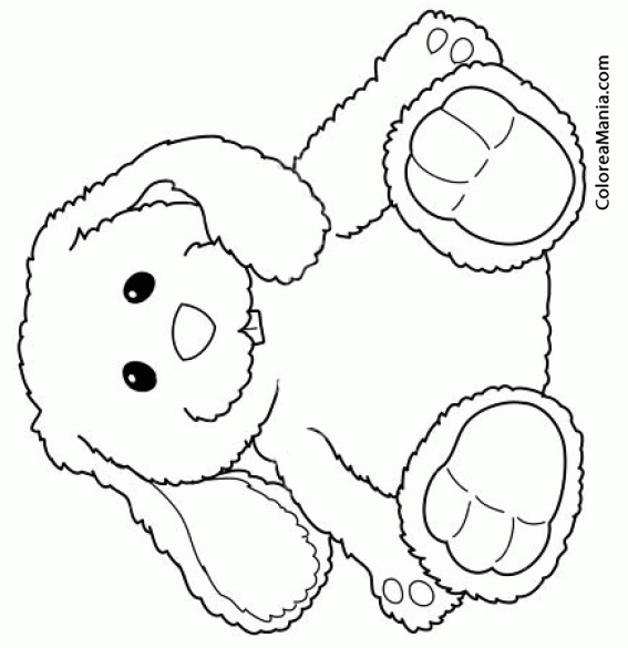 Colorear Conejo peluche, Bunny