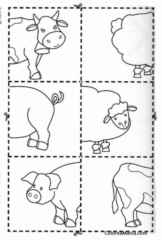 Colorear Ficha Preescolar Tres Animales Faciles Dibujo Para