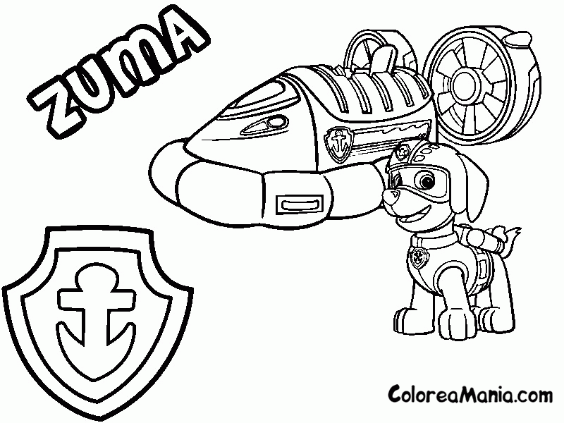 Colorear Zuma con su nombre y distintivo