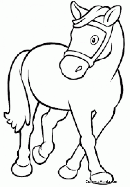 Colorear Caballos, Ponis 5 (Animales Domésticos), dibujo para colorear  gratis