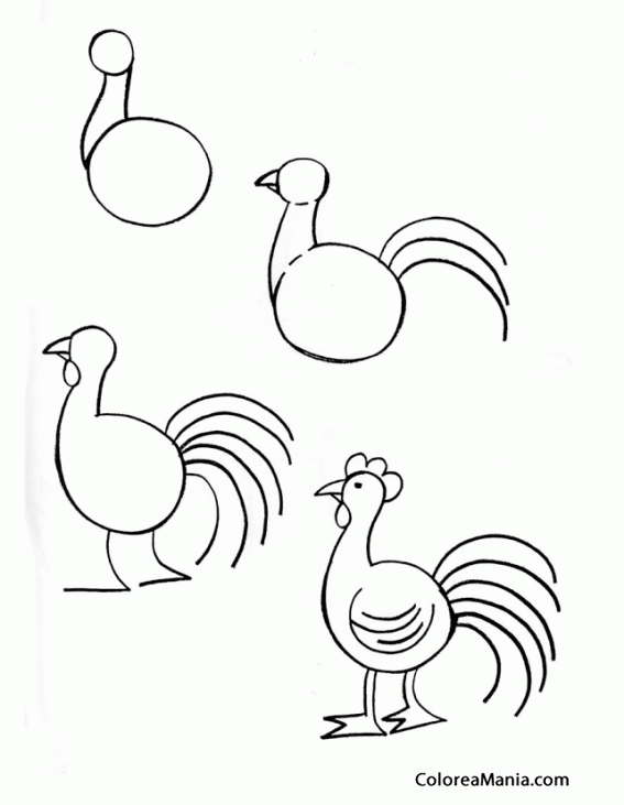 Colorear Un Gallo (Aprendiendo a dibujar), dibujo para colorear gratis