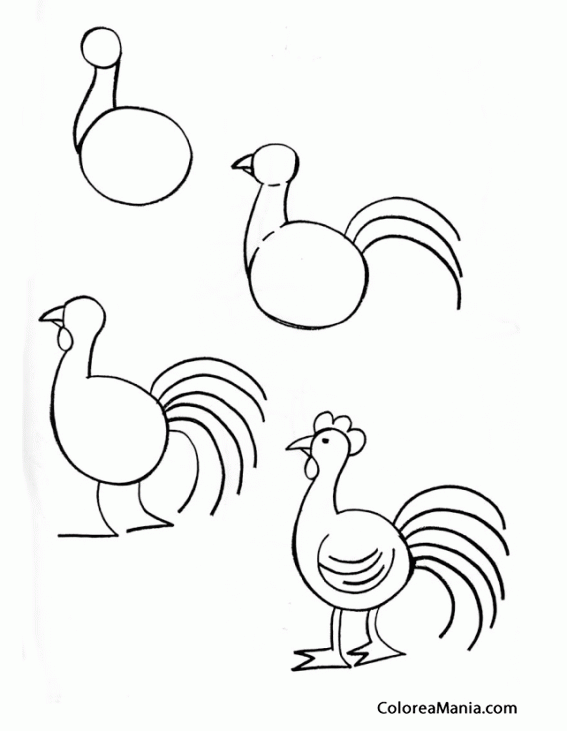 Colorear Un Gallo (Aprendiendo a dibujar), dibujo para colorear gratis Colorear Un Gallo (Aprendiendo a dibujar), dibujo para colorear gratis