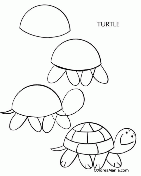 Colorear Tortuga 2