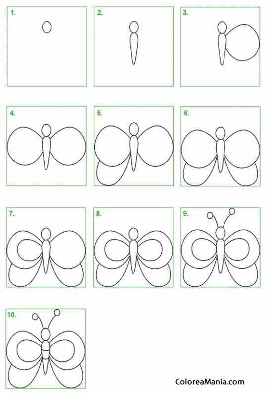 Colorear Mariposa 4