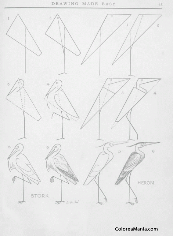 Colorear Una garza,  dibujar es fcil