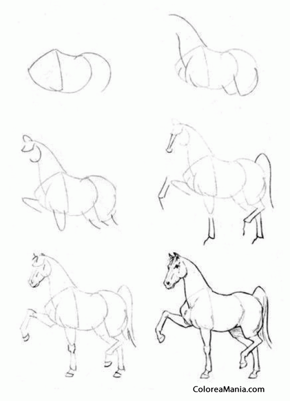 Colorear Un caballo