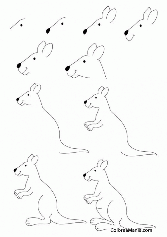 Colorear Canguros (Cómo dibujar animales), dibujo para colorear gratis