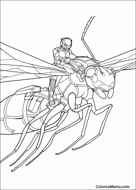 Colorear Ant-Man volando