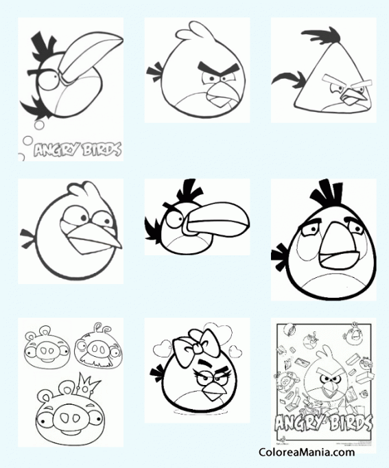 Colorear Pandilla Angry Birds