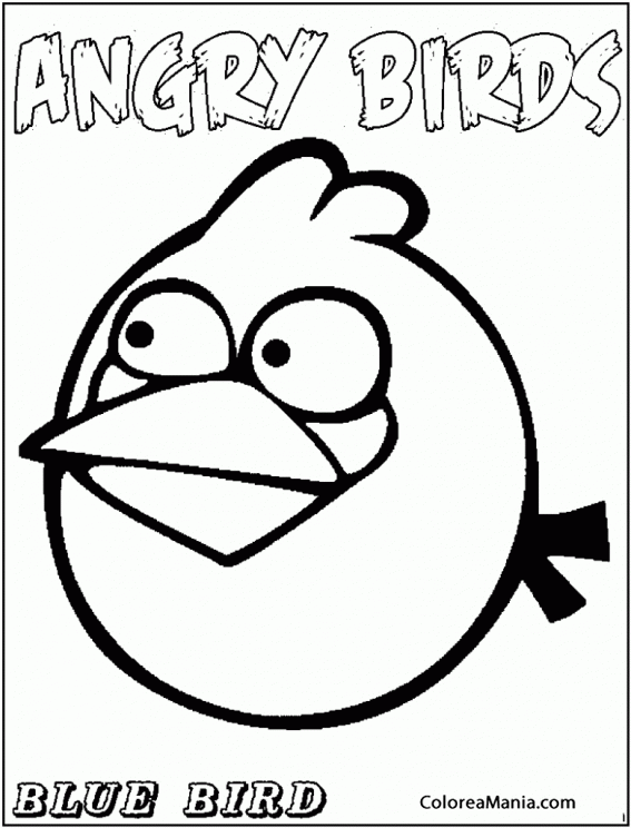 Colorear Blue, el Angry Bird azul 