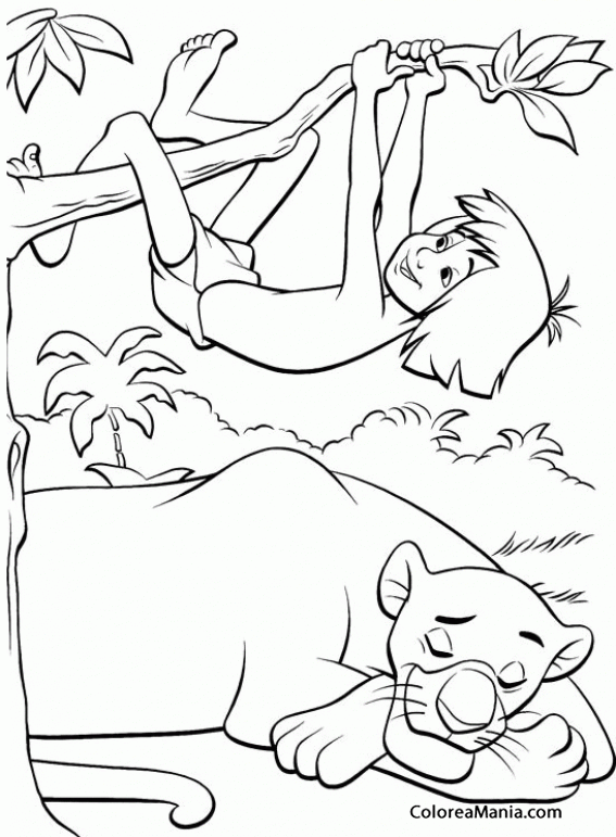 Colorear Bagheera duerme y Mowgli juega