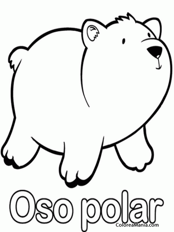oso polar para dibujar - www.learningelf.com.