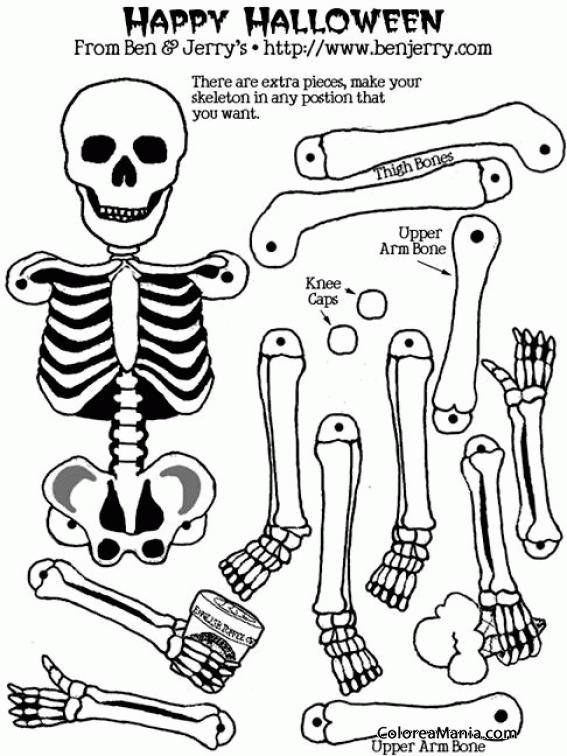Colorear Plantilla esqueleto movible