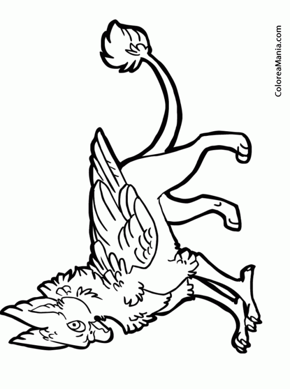 Colorear Grifo, medio águila medio león (Animales Fantásticos), dibujo para  colorear gratis