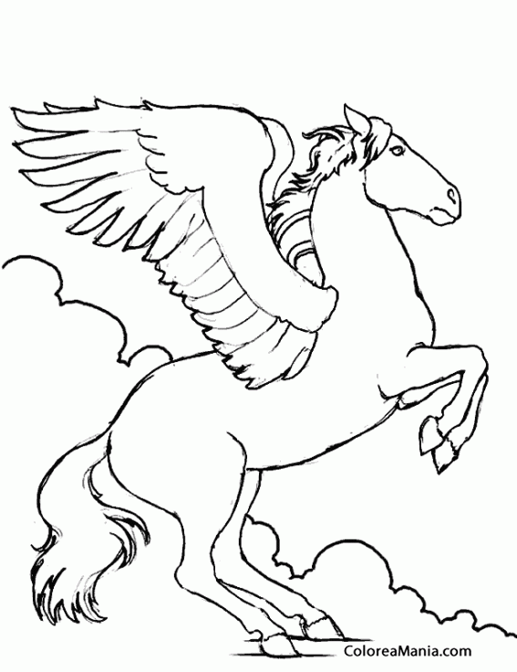 Colorear Pegaso