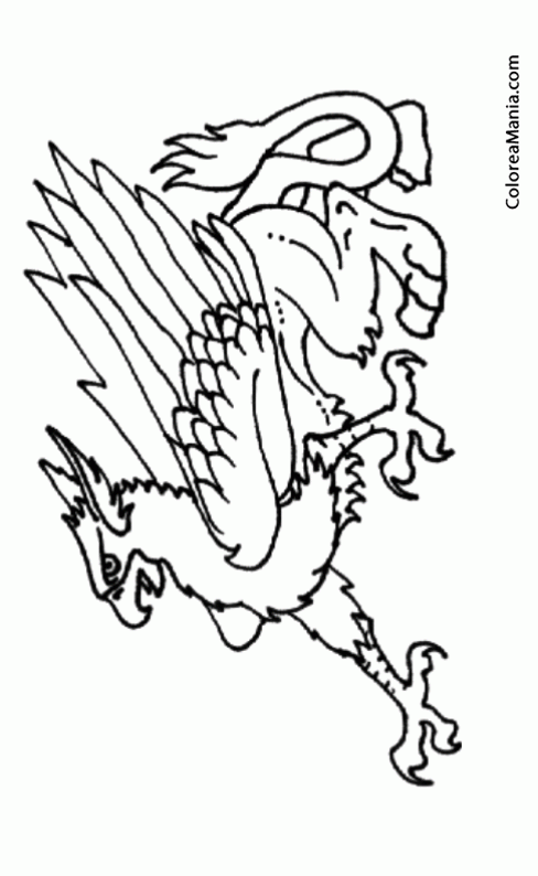Colorear Grifo 4 (Animales Fantásticos), dibujo para colorear gratis Colorear Grifo 4 (Animales Fantásticos), dibujo para colorear gratis