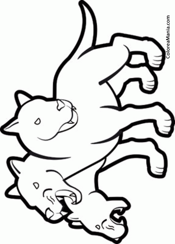  Colorear Cerberus (Animales Fantásticos), dibujo para colorear gratis