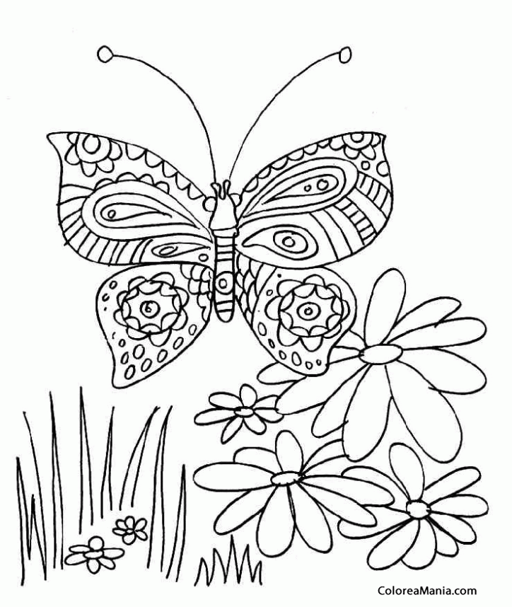 Colorear Mariposa y flores (Insectos), dibujo para colorear gratis Colorear Mariposa y flores (Insectos), dibujo para colorear gratis