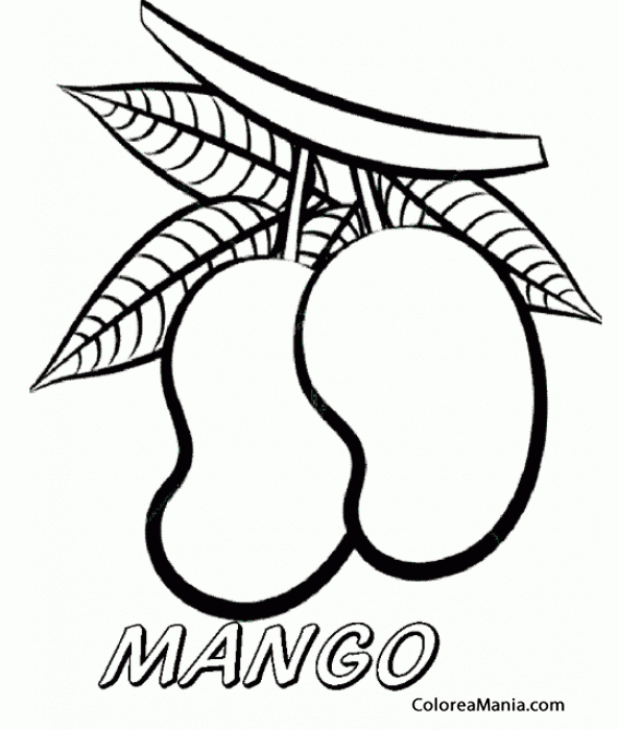 Colorear Mangos con hojas (Frutas), dibujo para colorear gratis Colorear Mangos con hojas (Frutas), dibujo para colorear gratis