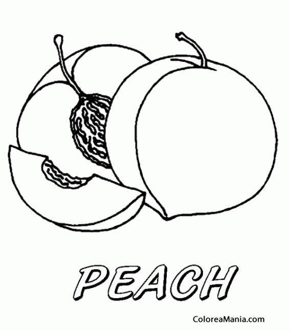 Colorear Melocotn. Pche. Peach  