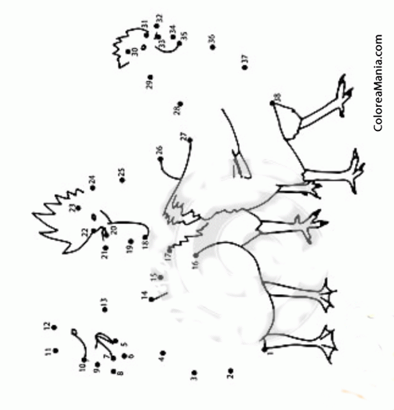 Colorear Dos gallinas y un pato