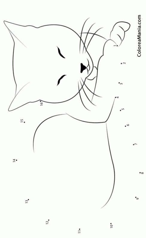 Colorear Gatito bonito durmiendo (16) (Animales), dibujo para colorear  gratis