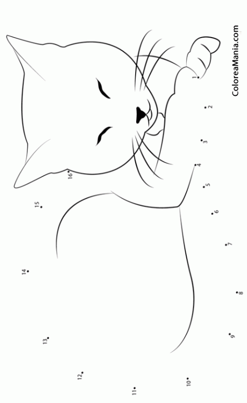 Colorear Gatito bonito durmiendo (16)