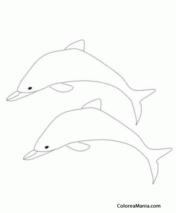 Colorear Dos delfines
