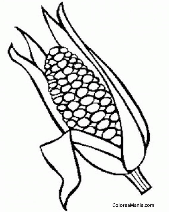 Colorear Mazorca de maíz 3 (Verduras), dibujo para colorear gratis