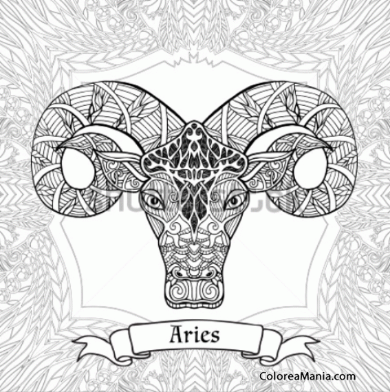Colorear Aries. Blier. Ariete  15