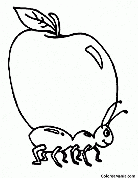 Colorear Hormiga con una manzana