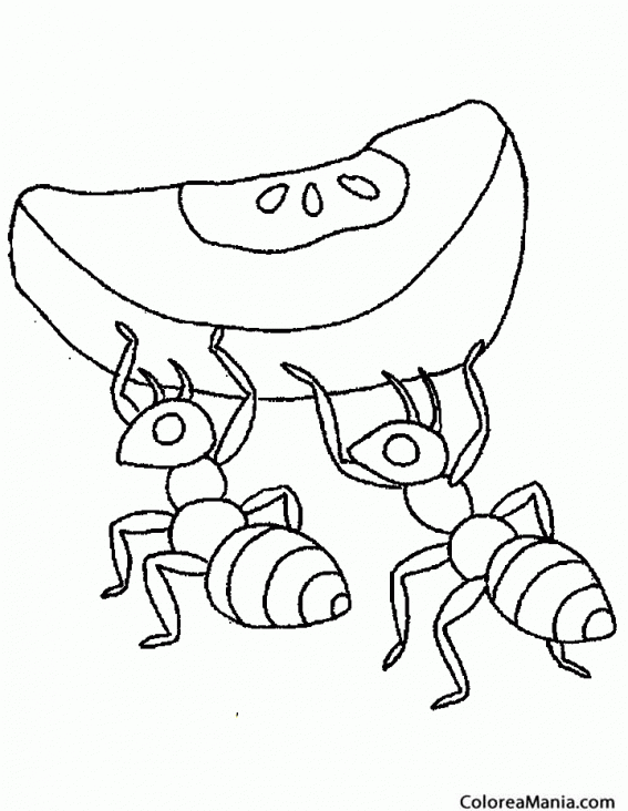 Colorear Hormigas cogiendo comida (Insectos), dibujo para colorear gratis