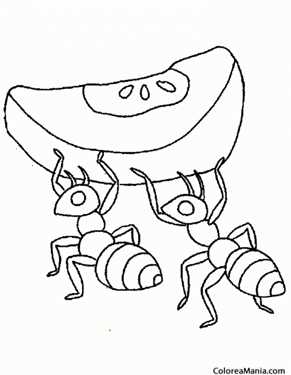 Colorear Hormigas cogiendo comida (Insectos), dibujo para colorear gratis Colorear Hormigas cogiendo comida (Insectos), dibujo para colorear gratis