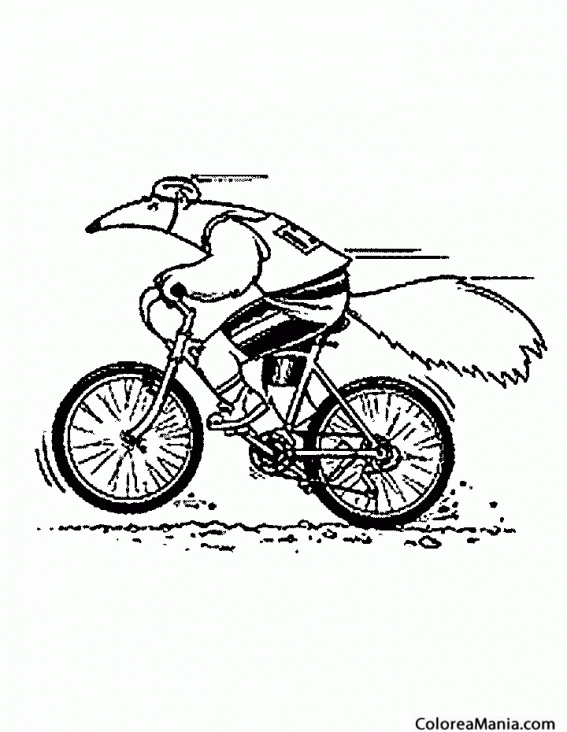 Colorear Oso Hormiguero en bicicleta (Animales del Bosque), dibujo para  colorear gratis