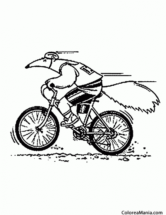 Colorear Oso Hormiguero en bicicleta (Animales del Bosque), dibujo para colorear gratis Colorear Oso Hormiguero en bicicleta (Animales del Bosque), dibujo para colorear gratis
