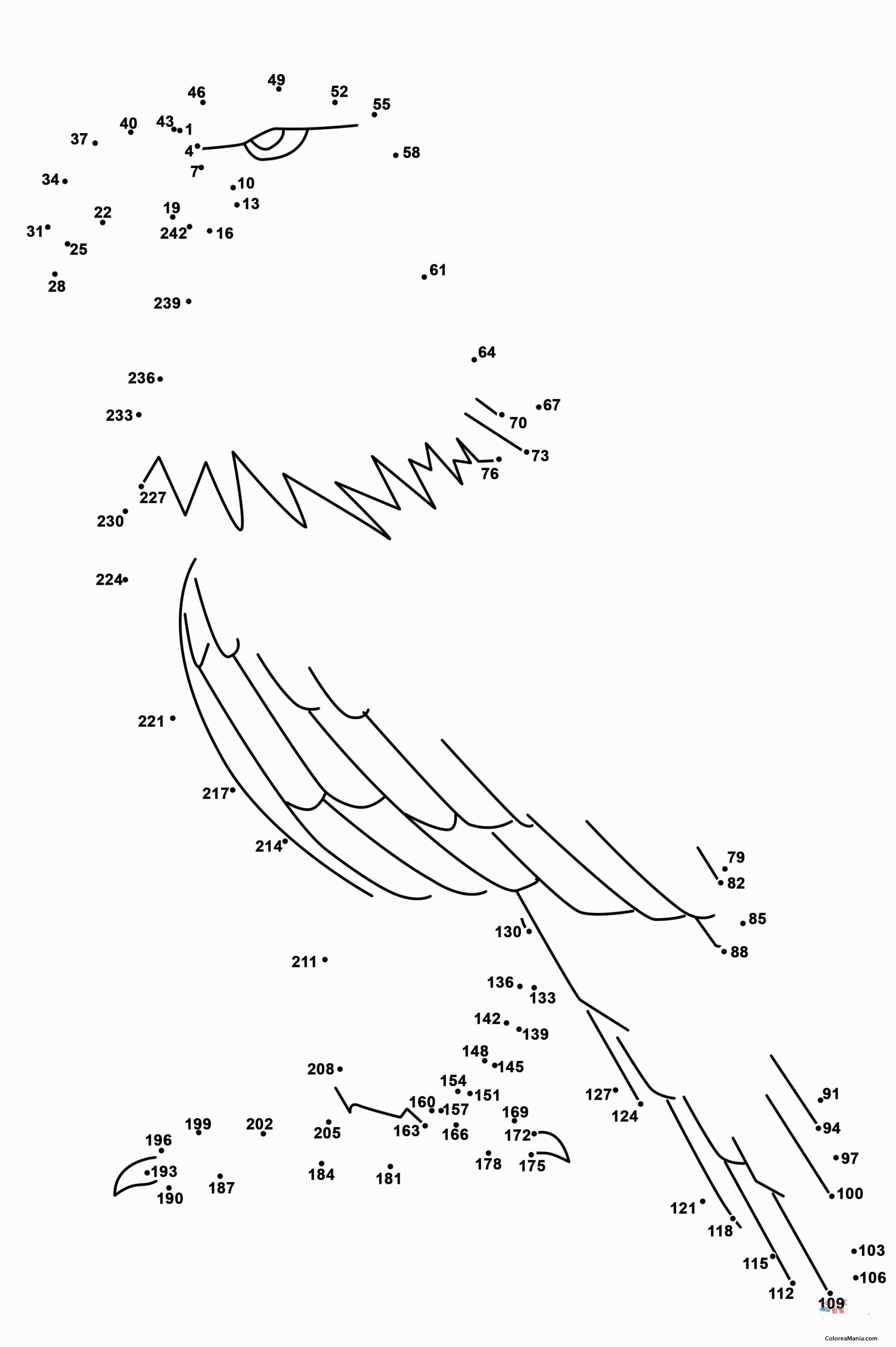 Colorear Aguila (242 Puntos)