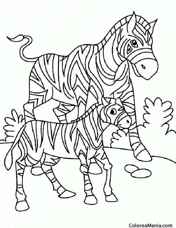 Colorear Cebra con su hijo